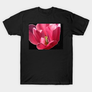 Pink Tulip T-Shirt